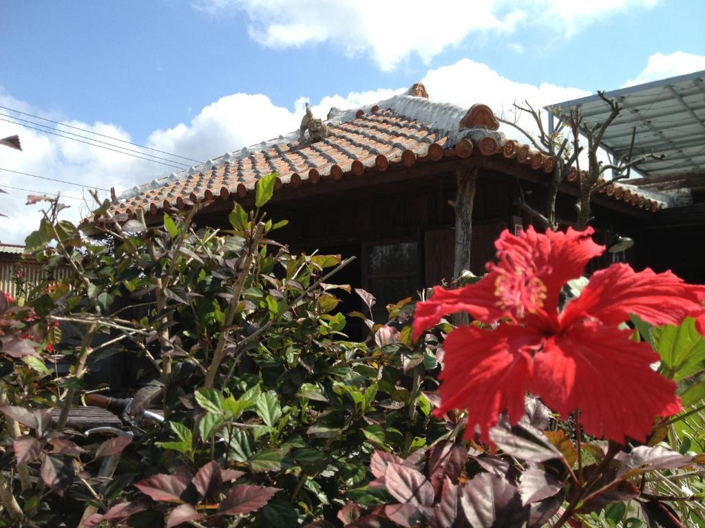 Nakijin No Yado Hibiscus Hotel Exterior photo
